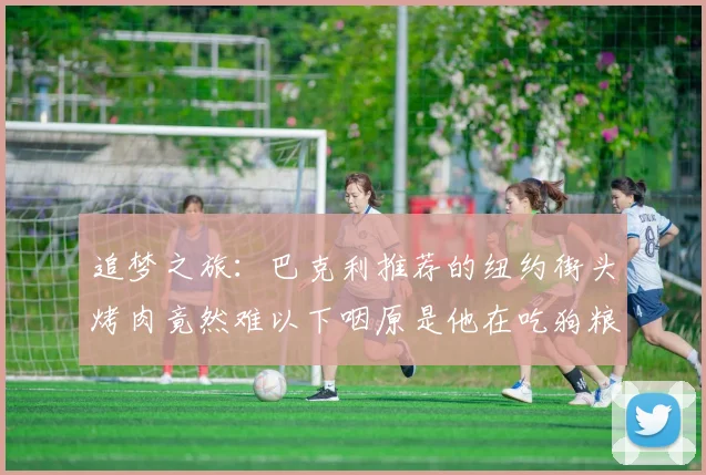追梦之旅：巴克利推荐的纽约街头烤肉竟然难以下咽原是他在吃狗粮